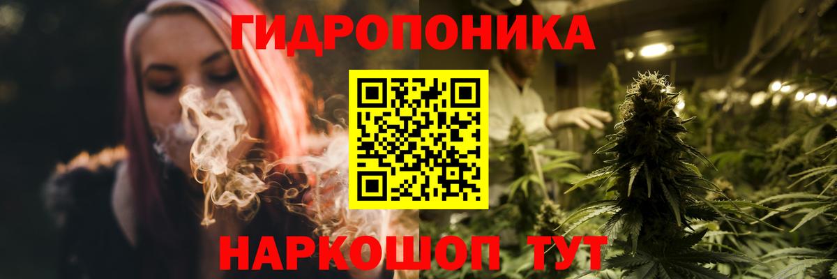 Каннабис Bruce Banner Ачхой-Мартан