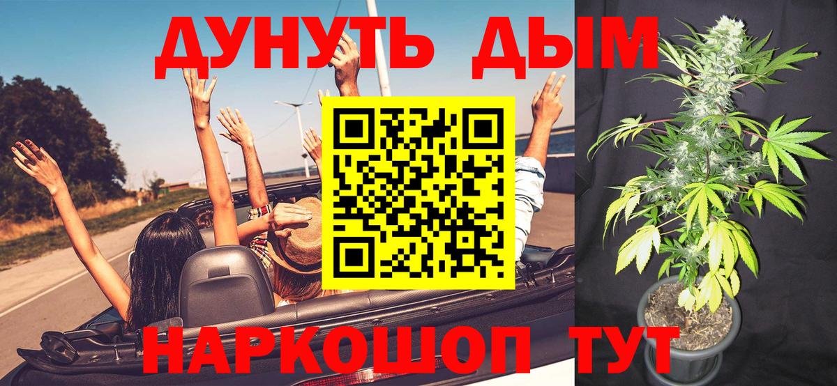 Бошки Шишки семена  Марихуана Bruce Banner  Ачхой-Мартан  Вход с VPN 
